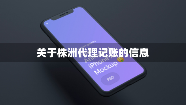 關于株洲代理記賬的信息