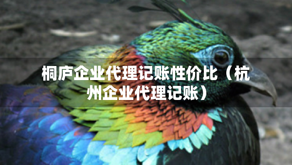 桐廬企業(yè)代理記賬性價比（杭州企業(yè)代理記賬）