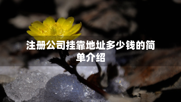 注冊(cè)公司掛靠地址多少錢的簡(jiǎn)單介紹
