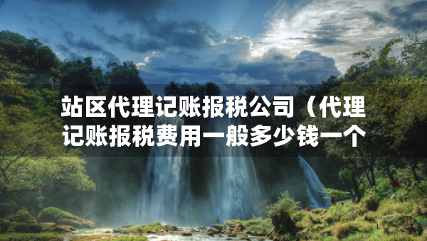 站區(qū)代理記賬報稅公司（代理記賬報稅費用一般多少錢一個月）