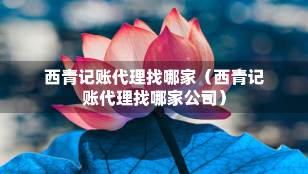 西青記賬代理找哪家（西青記賬代理找哪家公司）