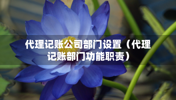 代理記賬公司部門設(shè)置（代理記賬部門功能職責(zé)）