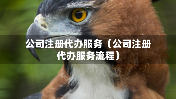 公司注冊(cè)代辦服務(wù)（公司注冊(cè)代辦服務(wù)流程）
