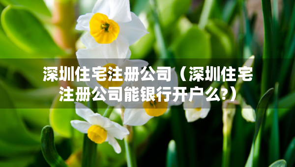 深圳住宅注冊公司（深圳住宅注冊公司能銀行開戶么?）