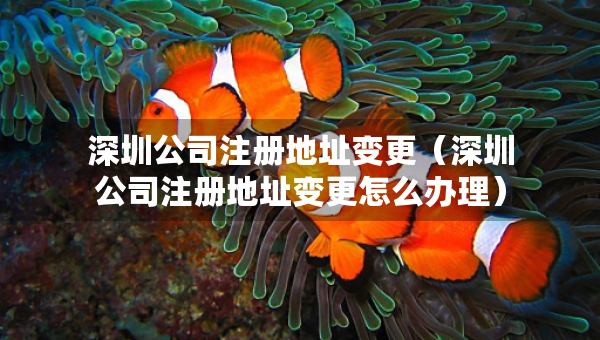 深圳公司注冊地址變更（深圳公司注冊地址變更怎么辦理）