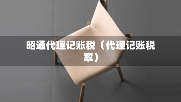 昭通代理記賬稅（代理記賬稅率）
