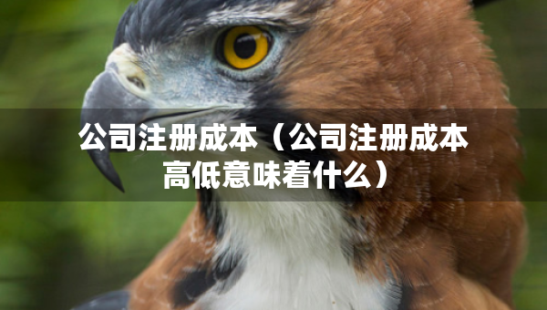 公司注冊成本（公司注冊成本高低意味著什么）