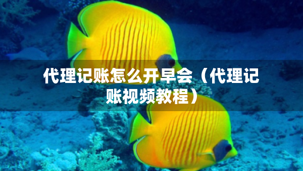 代理記賬怎么開早會（代理記賬視頻教程）