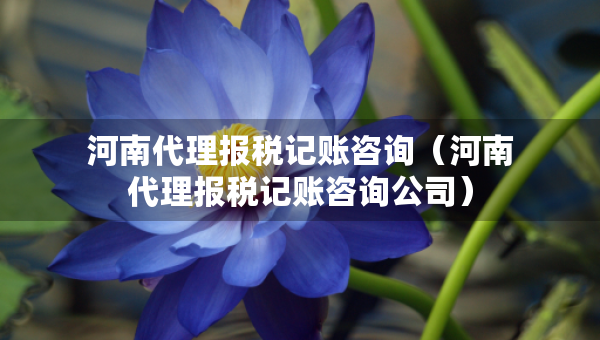 河南代理報(bào)稅記賬咨詢（河南代理報(bào)稅記賬咨詢公司）
