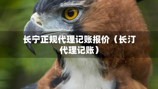 長寧正規(guī)代理記賬報(bào)價(jià)（長汀代理記賬）
