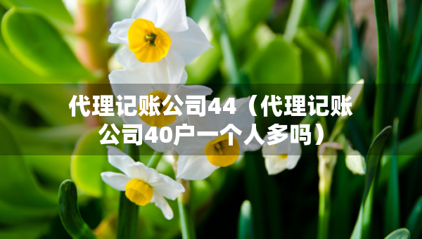 代理記賬公司44（代理記賬公司40戶(hù)一個(gè)人多嗎）