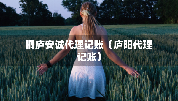 桐廬安誠代理記賬（廬陽代理記賬）