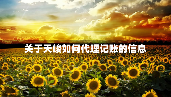 關(guān)于天峻如何代理記賬的信息