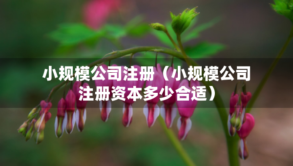 小規(guī)模公司注冊(cè)（小規(guī)模公司注冊(cè)資本多少合適）