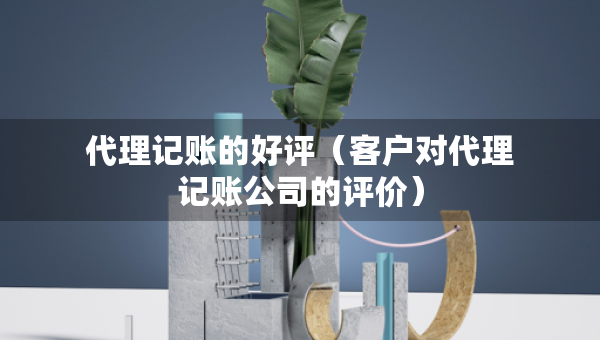 代理記賬的好評（客戶對代理記賬公司的評價(jià)）