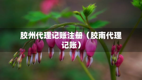 膠州代理記賬注冊(cè)（膠南代理記賬）