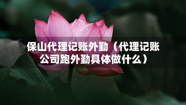 保山代理記賬外勤（代理記賬公司跑外勤具體做什么）