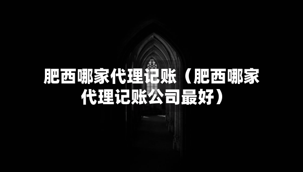 肥西哪家代理記賬（肥西哪家代理記賬公司最好）