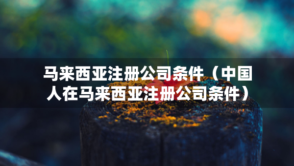 馬來西亞注冊(cè)公司條件（中國(guó)人在馬來西亞注冊(cè)公司條件）