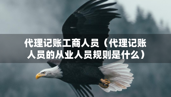 代理記賬工商人員（代理記賬人員的從業(yè)人員規(guī)則是什么）