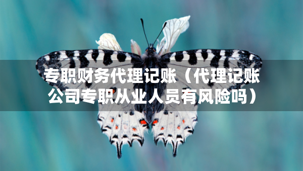 專職財(cái)務(wù)代理記賬（代理記賬公司專職從業(yè)人員有風(fēng)險(xiǎn)嗎）