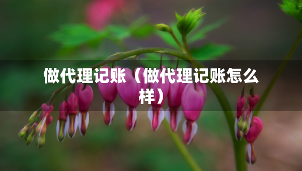 做代理記賬（做代理記賬怎么樣）