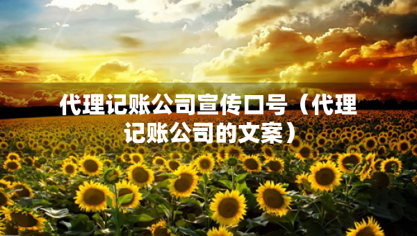 代理記賬公司宣傳口號(hào)（代理記賬公司的文案）
