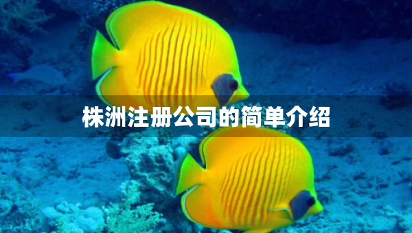 株洲注冊(cè)公司的簡(jiǎn)單介紹