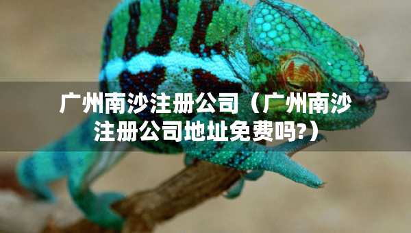 廣州南沙注冊(cè)公司（廣州南沙注冊(cè)公司地址免費(fèi)嗎?）