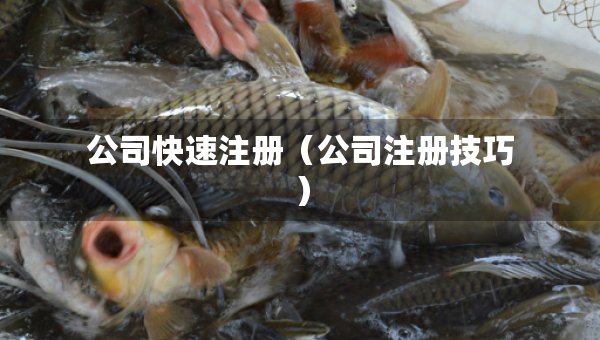 公司快速注冊（公司注冊技巧）