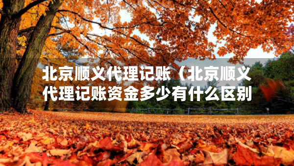 北京順義代理記賬（北京順義代理記賬資金多少有什么區(qū)別）