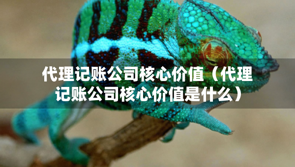 代理記賬公司核心價(jià)值（代理記賬公司核心價(jià)值是什么）