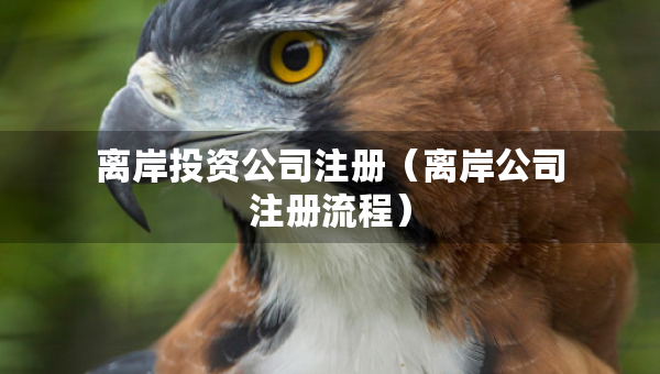 離岸投資公司注冊（離岸公司注冊流程）