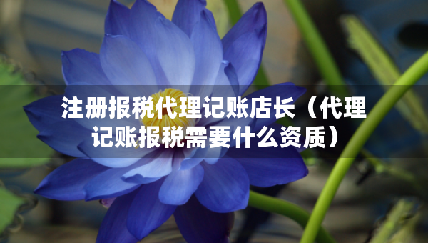 注冊(cè)報(bào)稅代理記賬店長（代理記賬報(bào)稅需要什么資質(zhì)）
