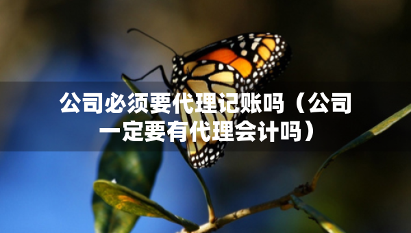 公司必須要代理記賬嗎（公司一定要有代理會(huì)計(jì)嗎）