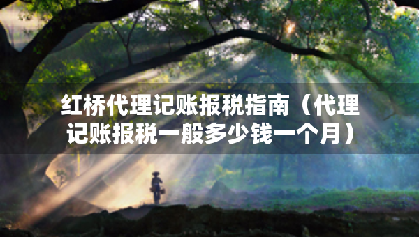 紅橋代理記賬報(bào)稅指南（代理記賬報(bào)稅一般多少錢一個(gè)月）