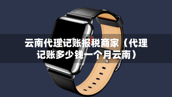 云南代理記賬報稅商家（代理記賬多少錢一個月云南）