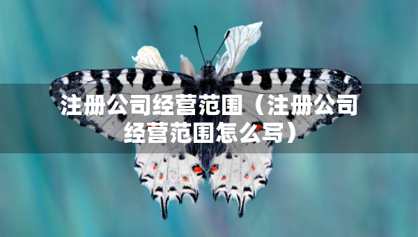 注冊公司經(jīng)營范圍（注冊公司經(jīng)營范圍怎么寫）