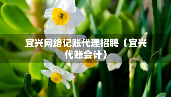 宜興網(wǎng)絡(luò)記賬代理招聘（宜興代賬會(huì)計(jì)）