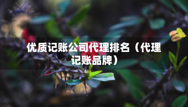 優(yōu)質(zhì)記賬公司代理排名（代理記賬品牌）
