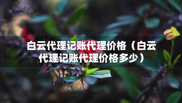 白云代理記賬代理價格（白云代理記賬代理價格多少）