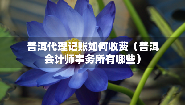 普洱代理記賬如何收費(fèi)（普洱會(huì)計(jì)師事務(wù)所有哪些）