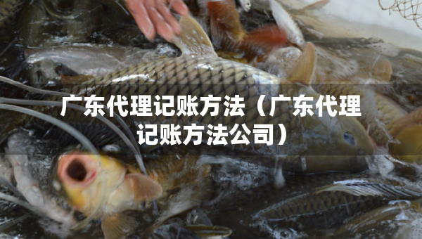 廣東代理記賬方法（廣東代理記賬方法公司）