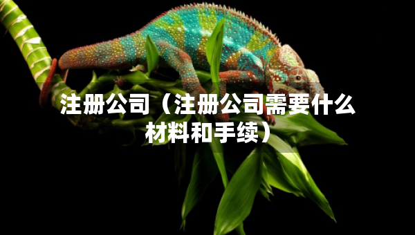 注冊公司（注冊公司需要什么材料和手續(xù)）