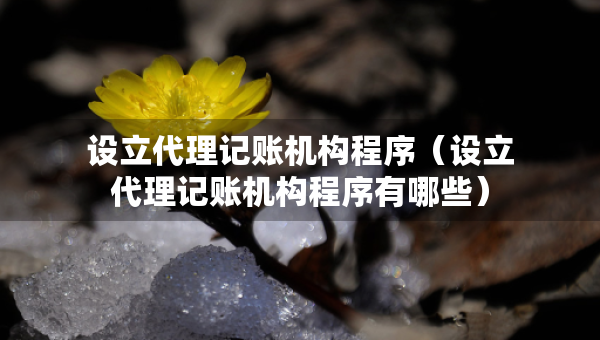 設(shè)立代理記賬機(jī)構(gòu)程序（設(shè)立代理記賬機(jī)構(gòu)程序有哪些）