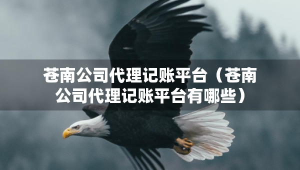蒼南公司代理記賬平臺(tái)（蒼南公司代理記賬平臺(tái)有哪些）