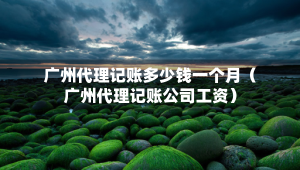 廣州代理記賬多少錢一個(gè)月（廣州代理記賬公司工資）