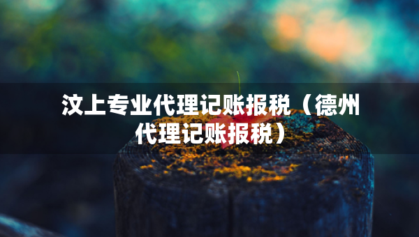 汶上專業(yè)代理記賬報(bào)稅（德州代理記賬報(bào)稅）