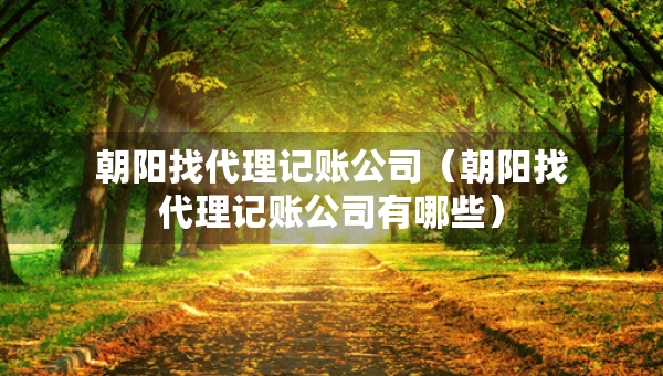 朝陽(yáng)找代理記賬公司（朝陽(yáng)找代理記賬公司有哪些）