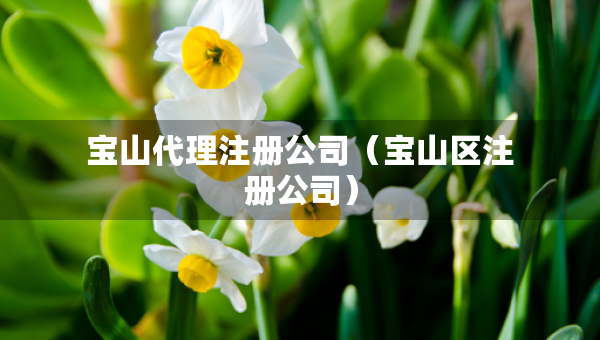 寶山代理注冊(cè)公司（寶山區(qū)注冊(cè)公司）